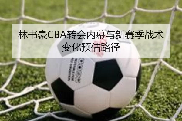林书豪CBA转会内幕与新赛季战术变化预估路径